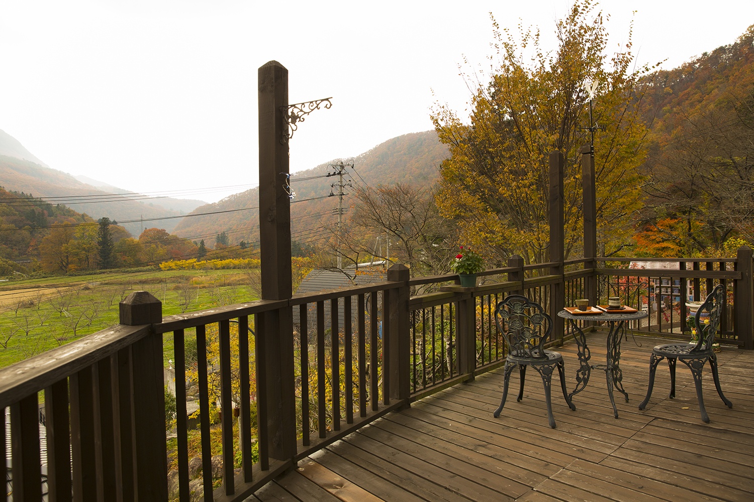 ゆらめく炎とうつわを楽しむ、薪ストーブのある住まい